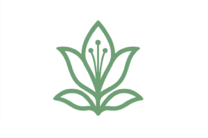 A Journey of Balance, Mindfullness, Growth, Respect, and Belief